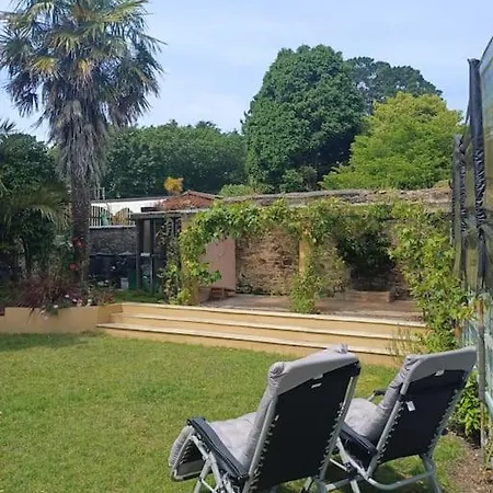 The Conifers Small Self Catering Flat In Nature Reserve Free Eden Taxi B4 9pm *