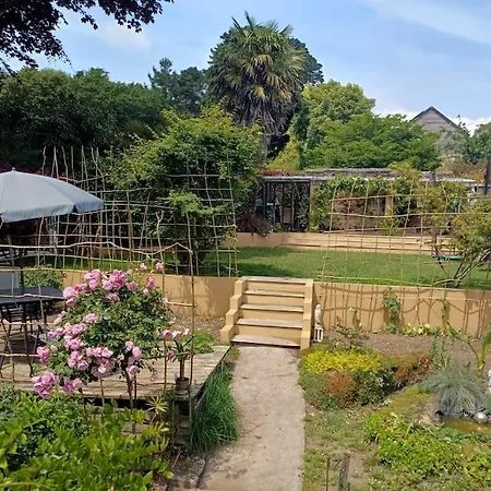 Apartment The Conifers Small Self Catering Flat In Nature Reserve Free Eden Taxi B4 9pm *