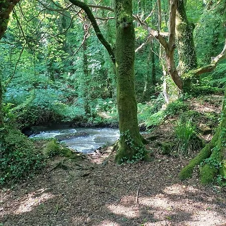 The Conifers Small Self Catering Flat In Nature Reserve Free Eden Taxi B4 9pm Par