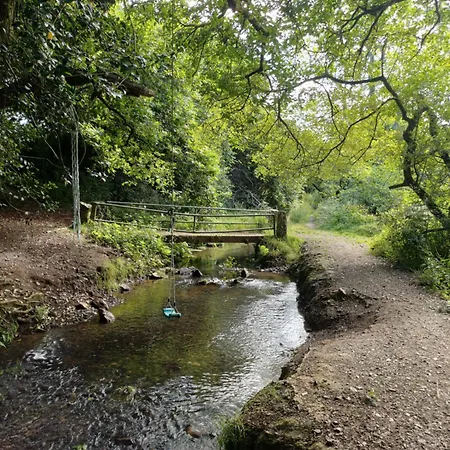 The Conifers Small Self Catering Flat In Nature Reserve Free Eden Taxi B4 9pm