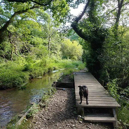 The Conifers Small Self Catering Flat In Nature Reserve Free Eden Taxi B4 9pm