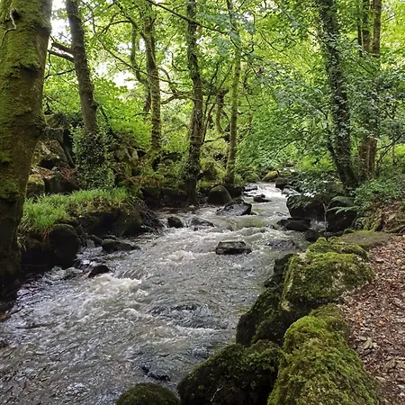 The Conifers Small Self Catering Flat In Nature Reserve Free Eden Taxi B4 9pm *